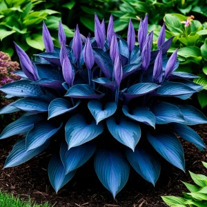 Хоста Сикрет Гров купить по цене от 570р. в интернет-магазине «Посадика» с доставкой почтой в в Никольске и по всей России – [изображение №1].